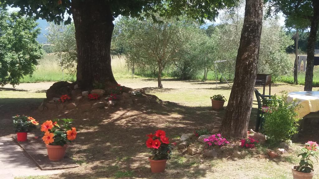 Bed and Breakfast Azzurre Beb Laterina Екстер'єр фото