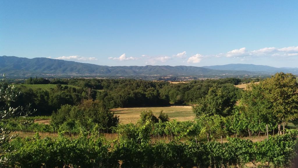 Bed and Breakfast Azzurre Beb Laterina Екстер'єр фото